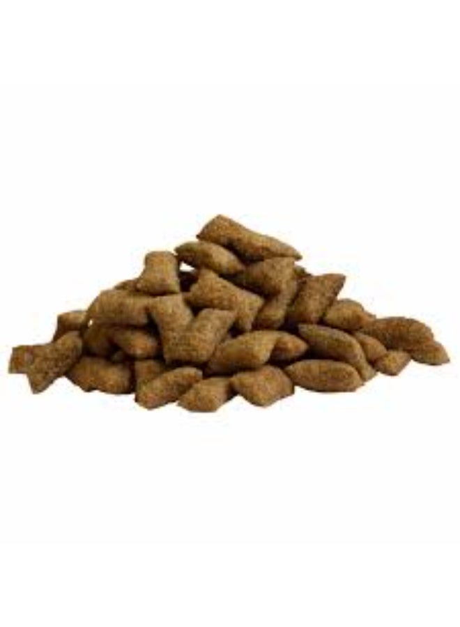 Cat Fest Crab Cream Pillows Cat Treat Crispy & Tender Crab Flavor 30 g From Varmacy - Image 2